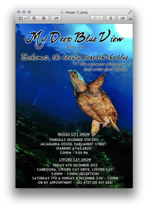 Jacaranda Scott Aranha Photography Exhibition