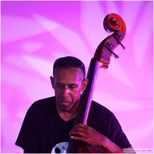 Allthatjazz Levy Preserve